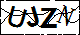驗證碼