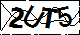 驗證碼