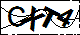 驗證碼