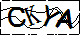 驗證碼