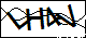 驗證碼
