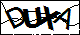 驗證碼