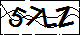 驗證碼