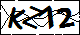 驗證碼