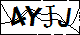 驗證碼