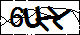 驗證碼