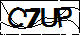 驗證碼