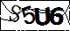 驗證碼
