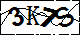驗證碼