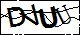 驗證碼