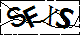 驗證碼