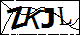 驗證碼