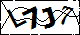 驗證碼