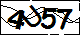 驗證碼