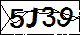 驗證碼