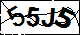 驗證碼