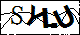 驗證碼